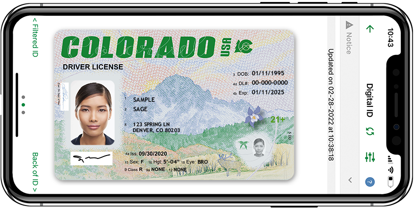 fake id laws colorado