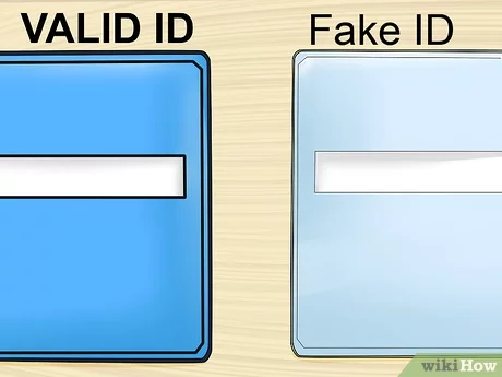 fake id laws in nc