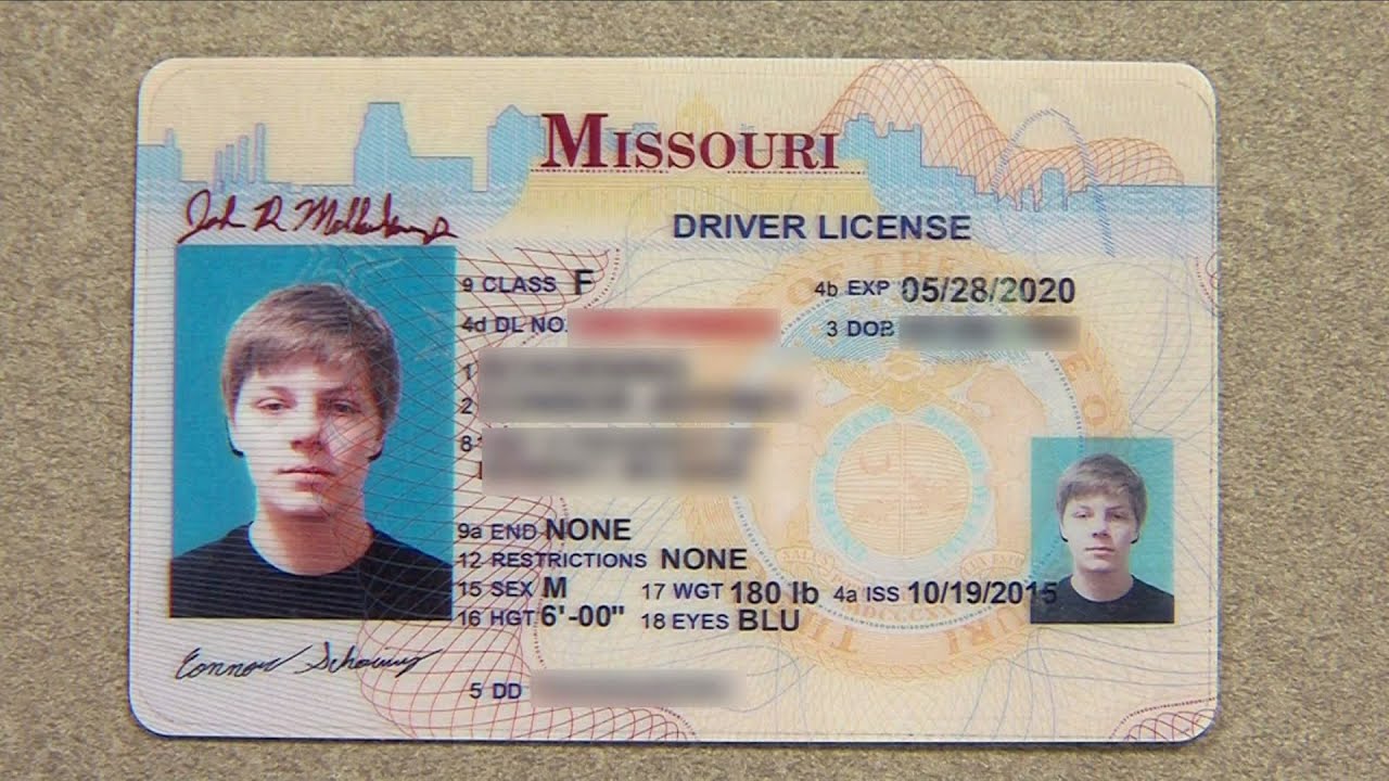 fake id license