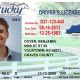 fake id templates