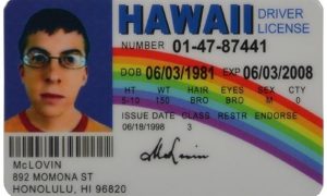 fake. id