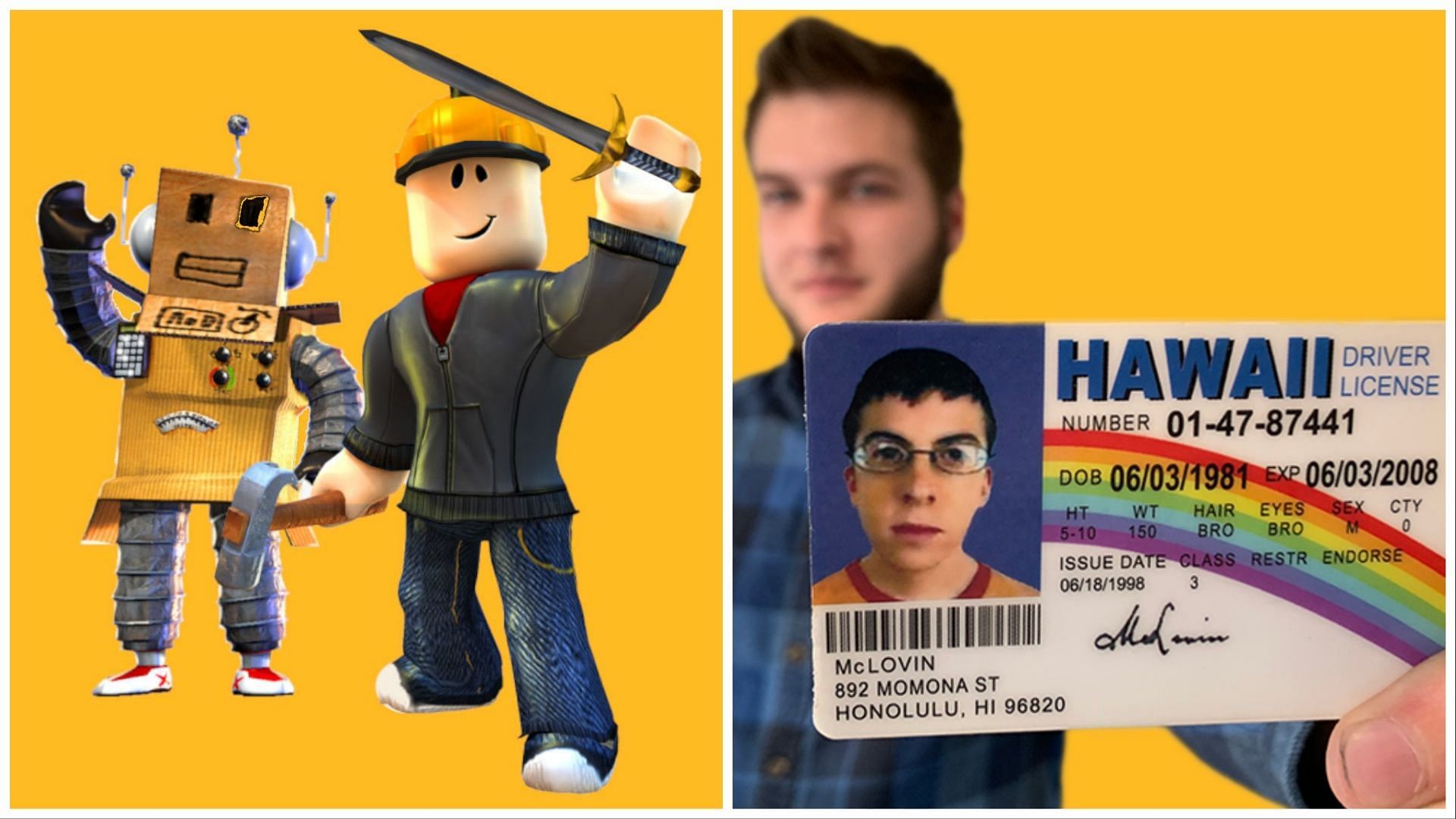 fake ids for roblox voice chat