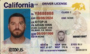 fake ids online