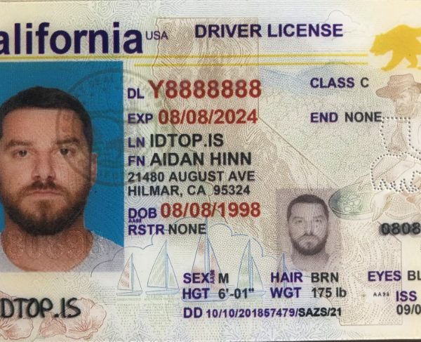 fake ids online