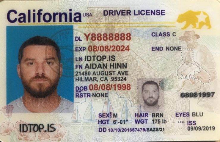 fake ids online