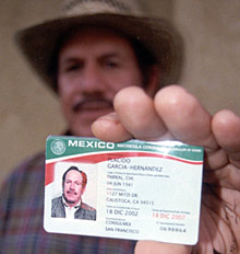 fake mexican id card