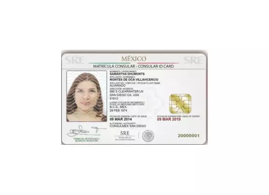 fake mexican id card