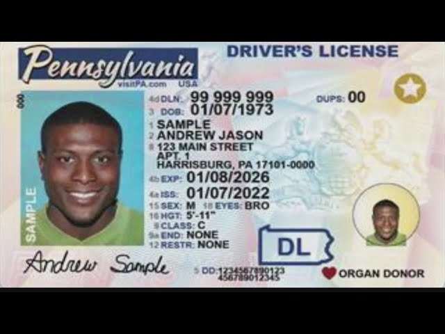 fake pa id