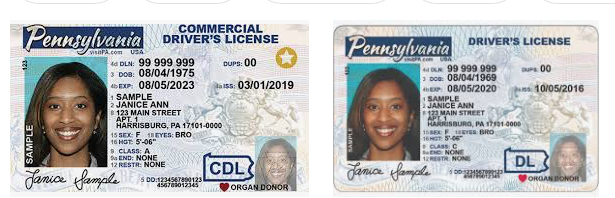 fake pa id