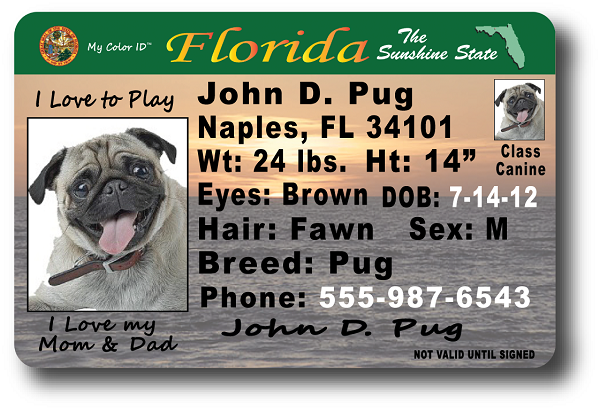 Florida Fake Id Templates