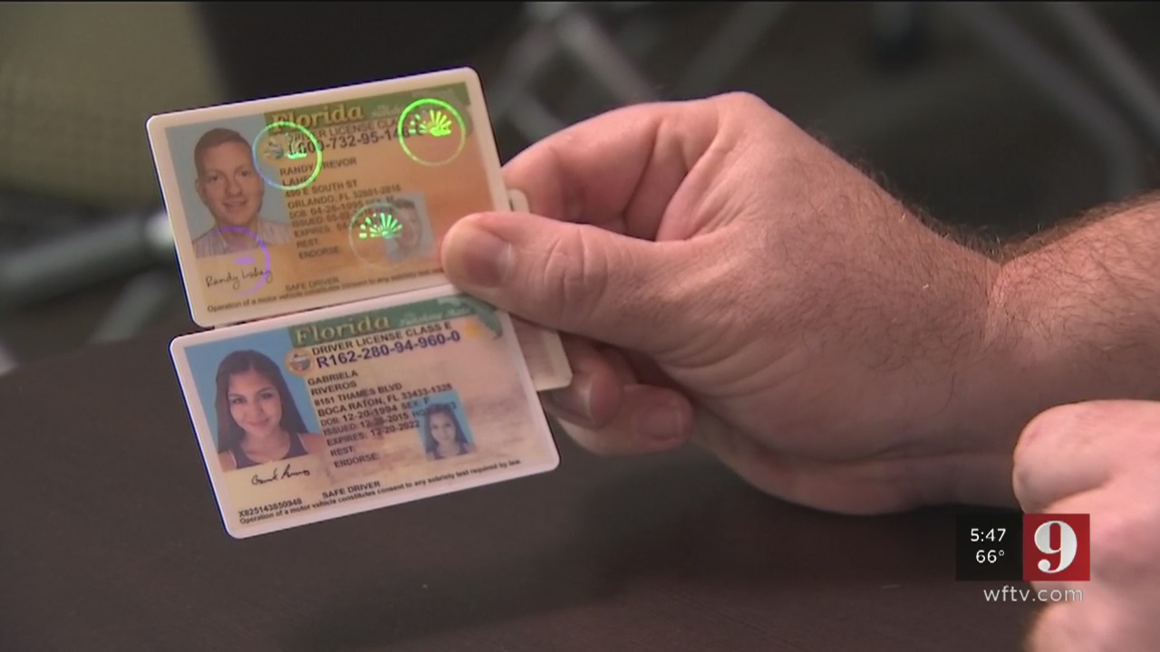 Florida Fake Id Website