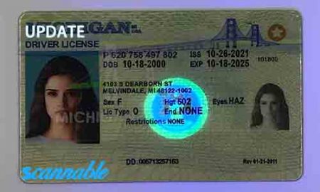 Florida Scannable fake id