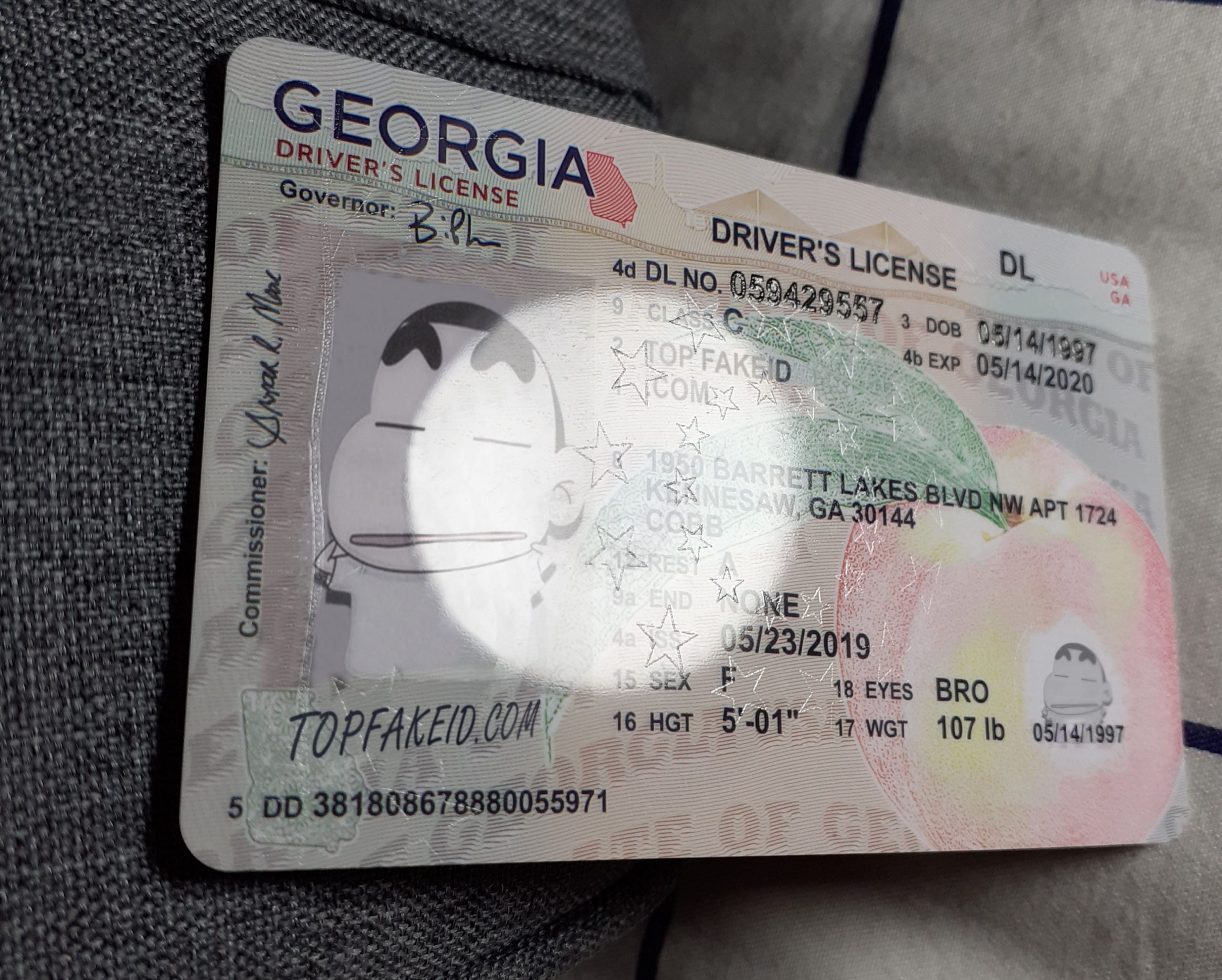 Georgia Scannable fake id