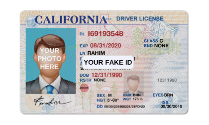 Hawaii Fake Id Templates