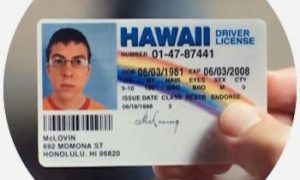 hawaii fake id