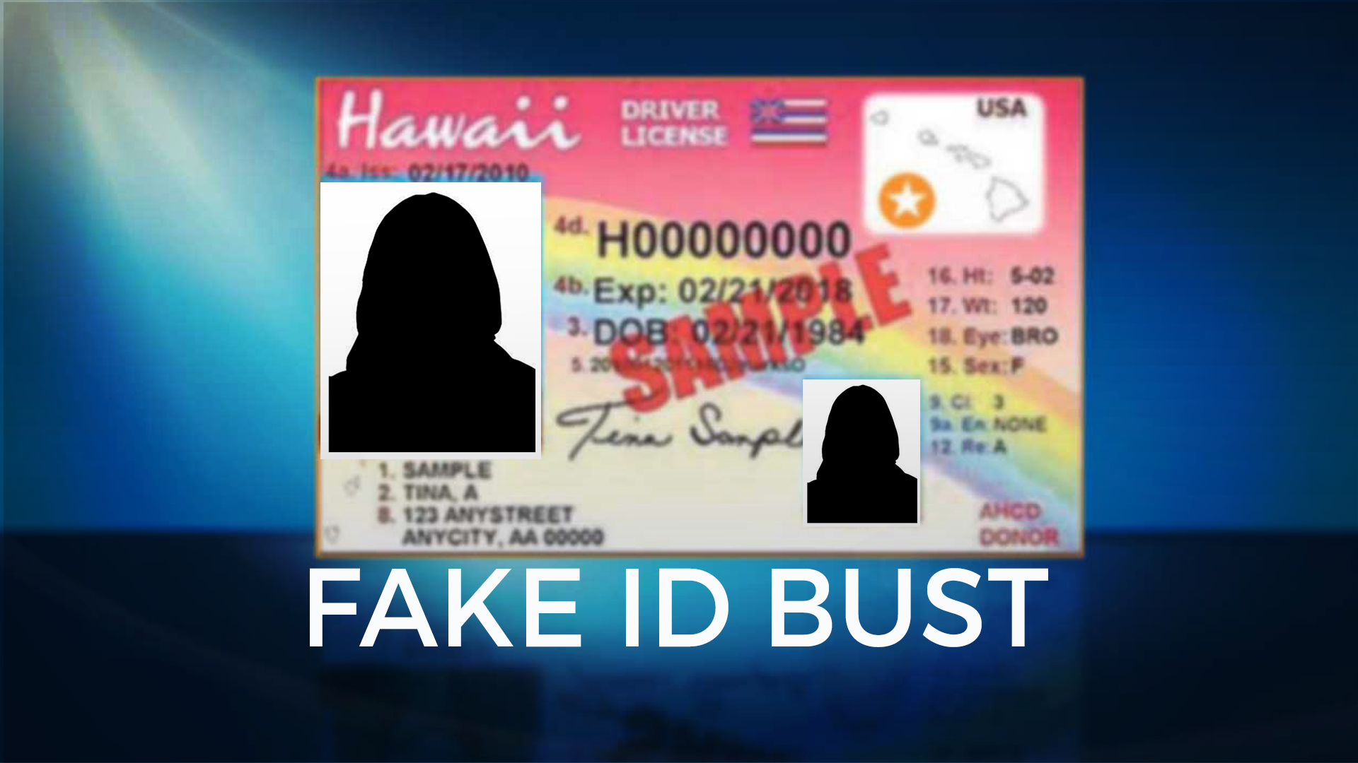 hawaii fake id