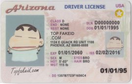 Hawaii Scannable fake id