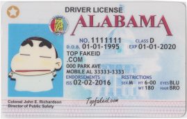 Hawaii Scannable fake id