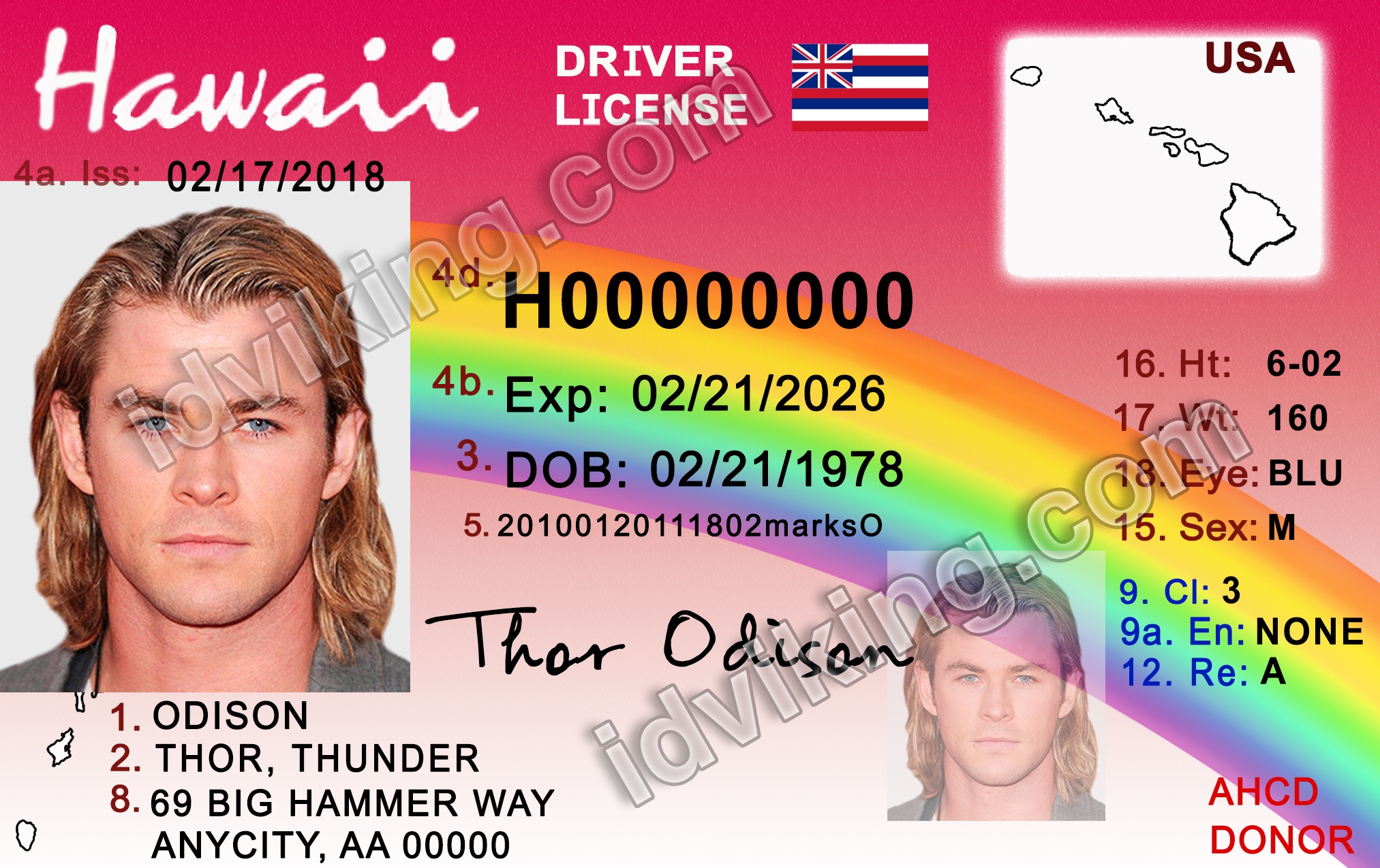 Hawaii Scannable fake id