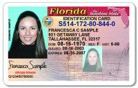 How Much Is A Florida Fake Id