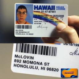 How Much Is A Hawaii Fake Id