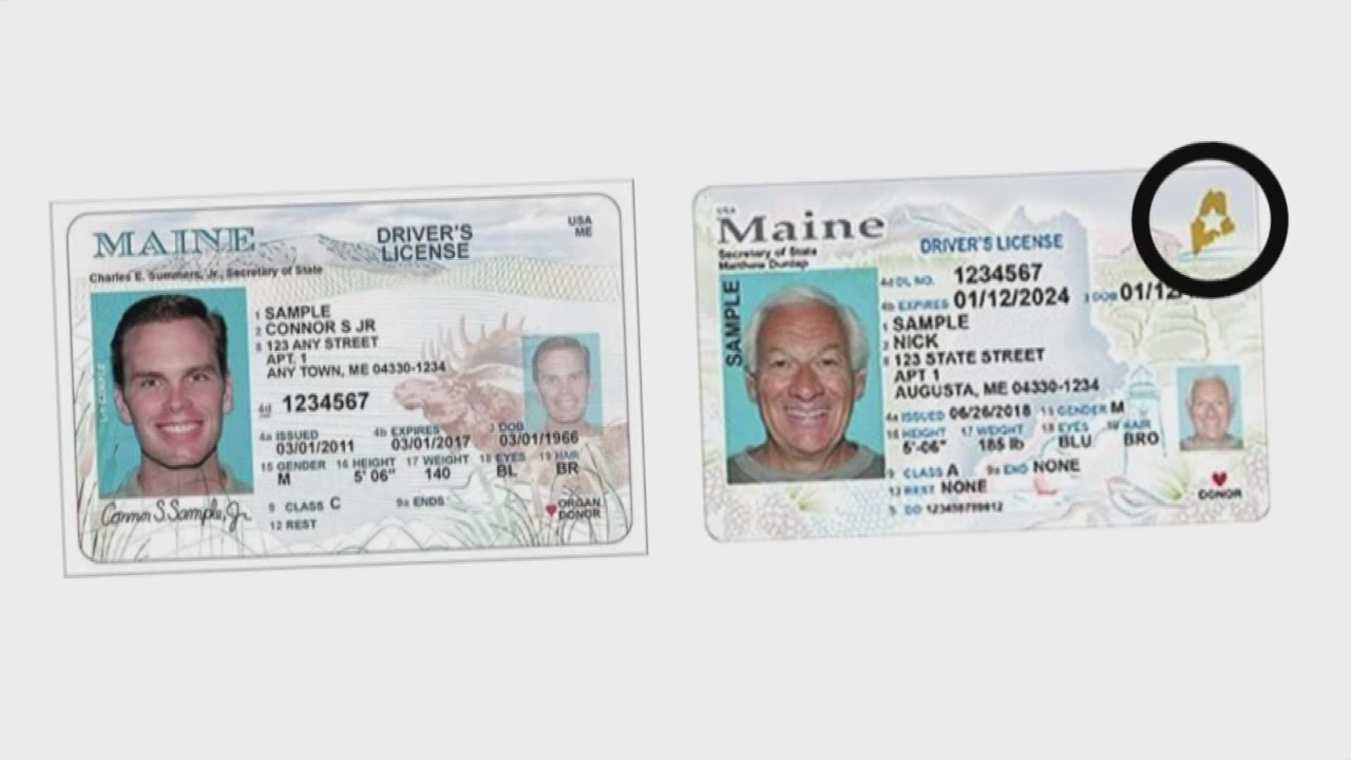 How To Make A Maine Fake Id