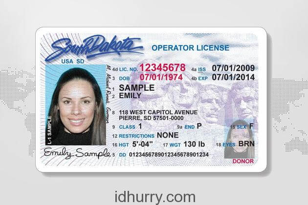 Idaho fake id