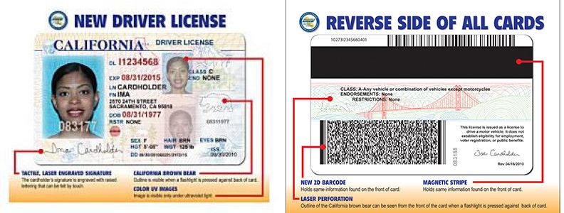 Illinois Fake Id Front And Back