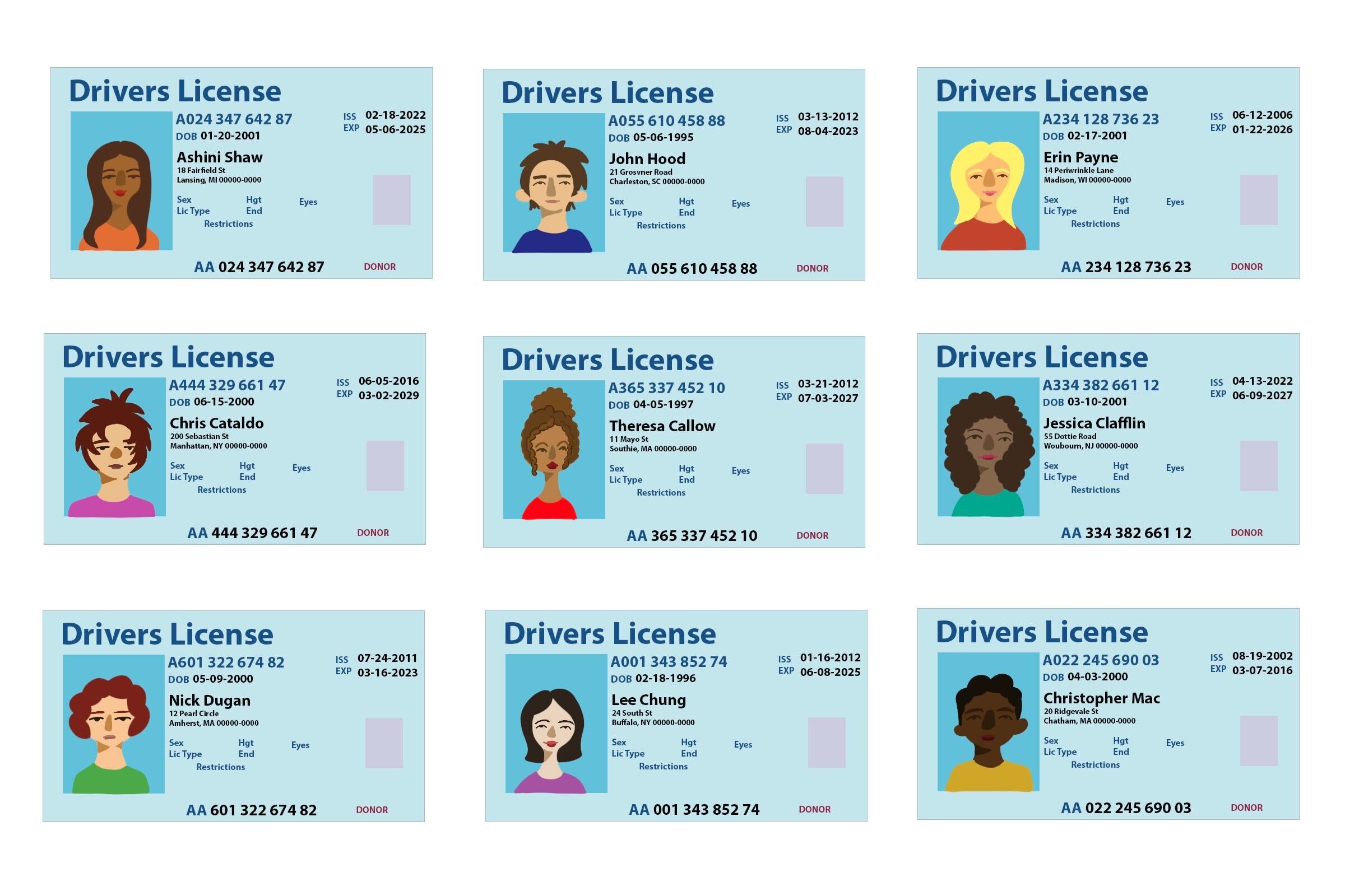 illinois fake id laws