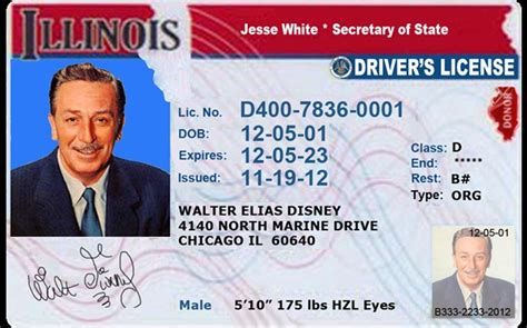 Illinois Fake Id Templates