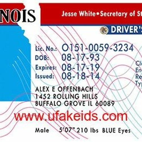 Illinois Fake Id Templates