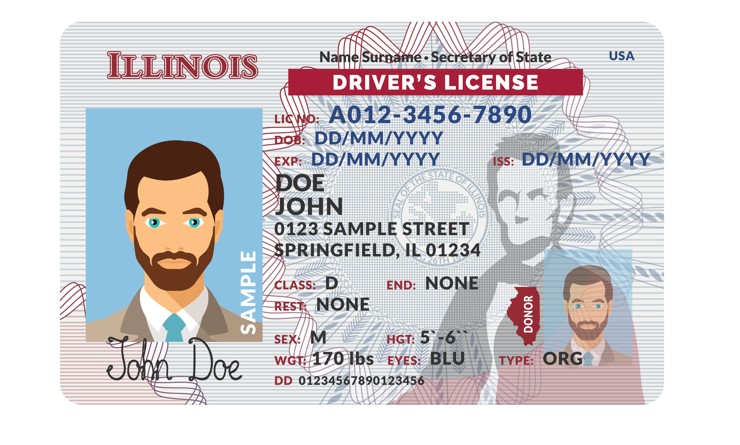 Illinois Fake Id Website