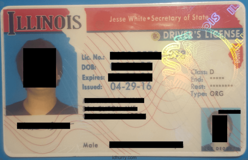 Illinois fake id