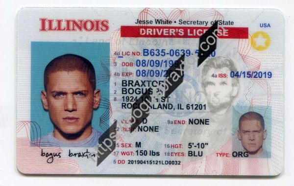 Illinois Scannable fake id