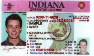 indiana fake id