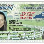 kentucky fake id