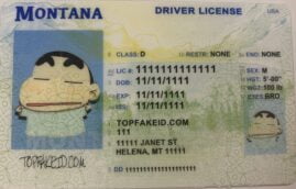 Louisiana Scannable fake id