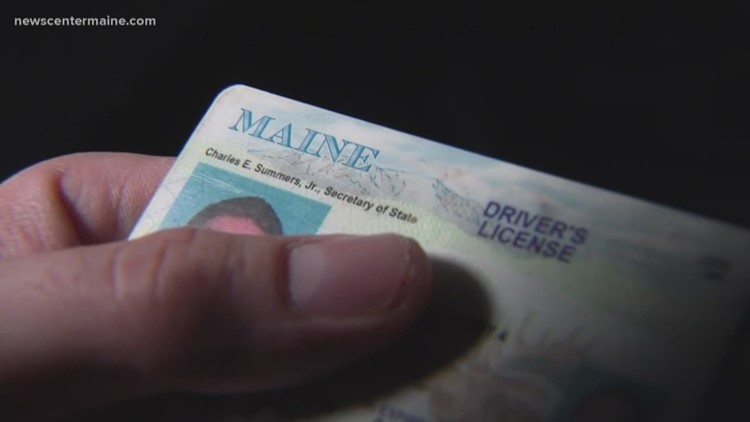 Maine Fake Id Charges