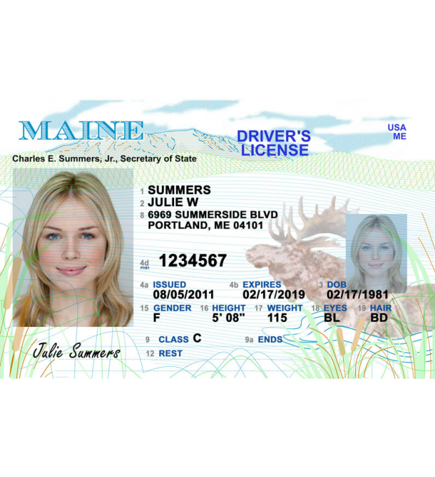 Maine Fake Id Online