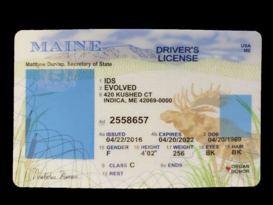 Maine Fake Id Templates