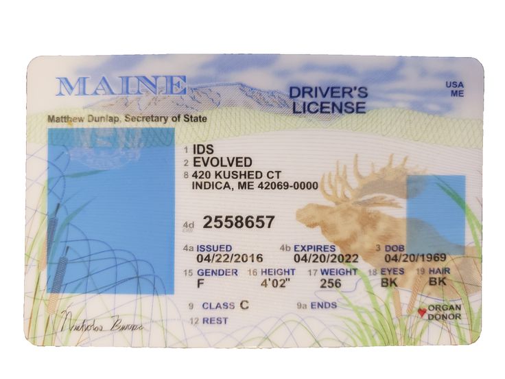 Maine Fake Id Templates