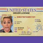 maine fake id