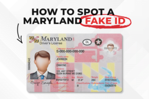 Maryland Fake Id Online
