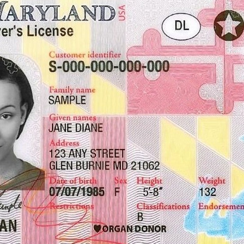 Maryland Fake Id Roblox