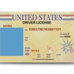 maryland fake id