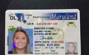 Maryland fake id