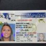 maryland fake id