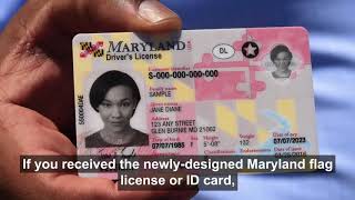 maryland fake id