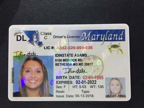 Maryland fake id