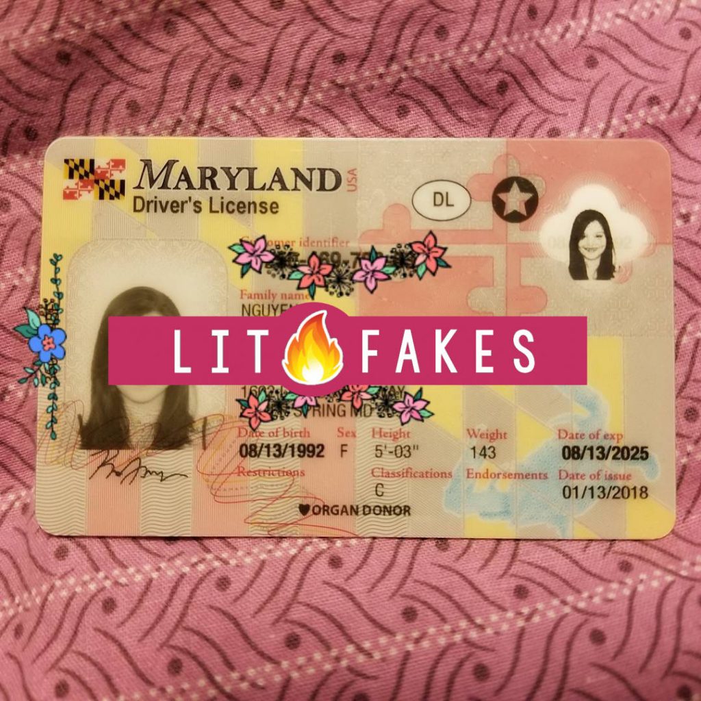 Maryland fake id